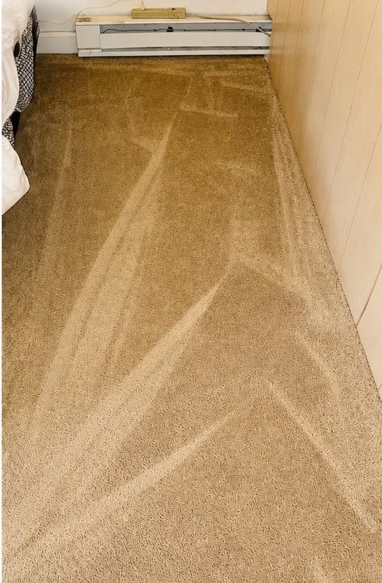 The same bedroom carpet after hot water extraction, with the soil lifted and pile groomed