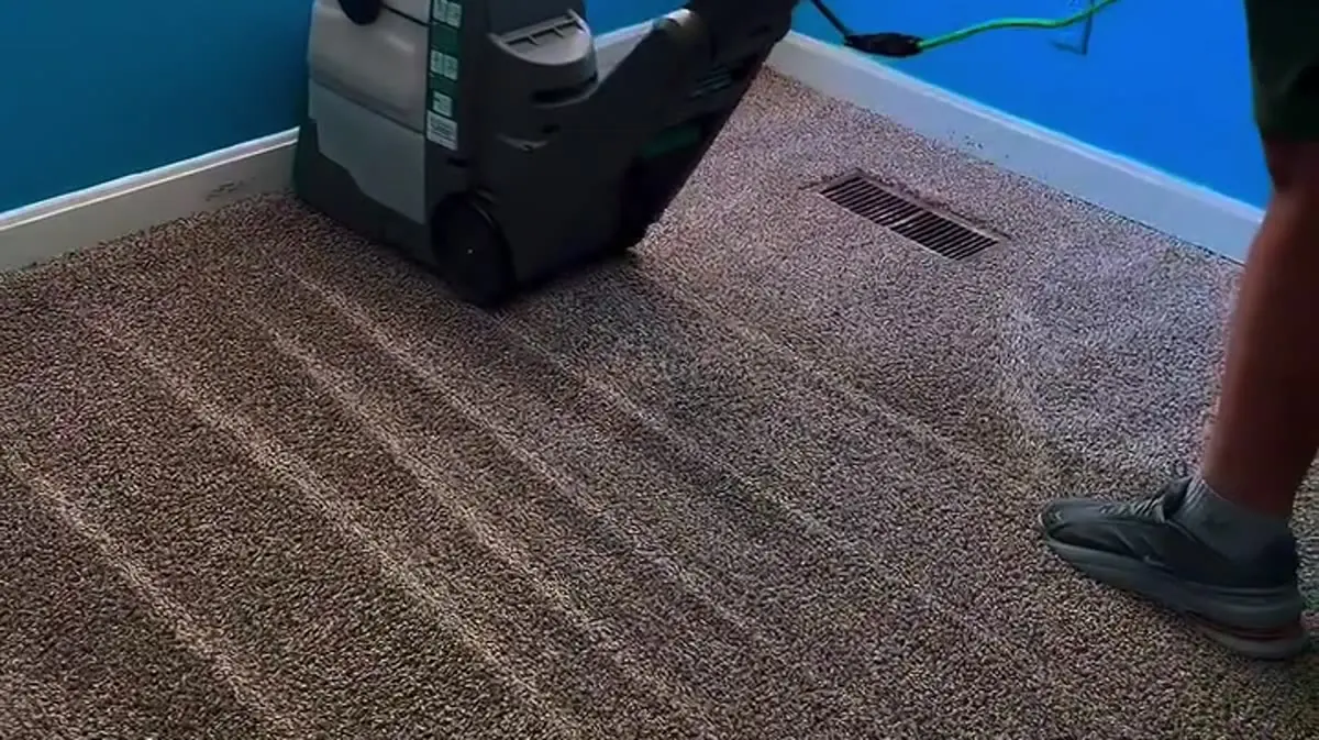 Professional wall-to-wall carpet cleaning