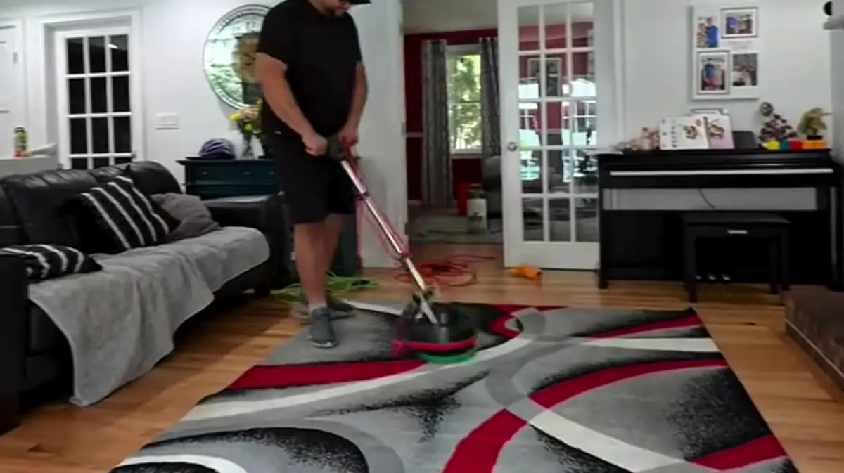 Professional area rug cleaning